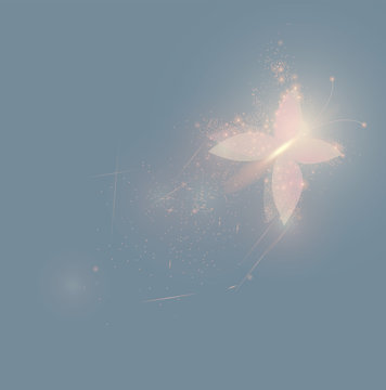 Pink shinning butterfly / Soft fairy background