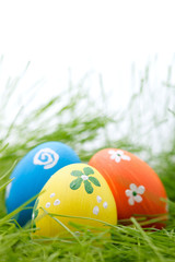 Easter eggs hidden in a grass