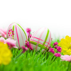 Ostereier auf Blumenwiese