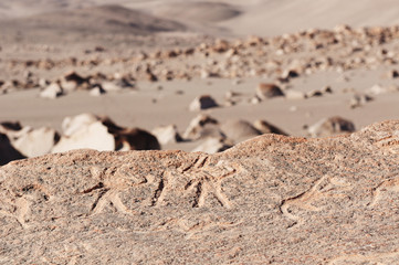 Peru, Toro Muerto Petroglyphs