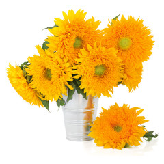 Obraz premium Sunflowers