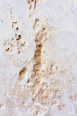 Damaged wall detail from abandoned building