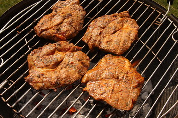 eine Grillparty