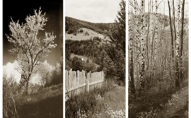 old traditional photography - Rural views, triptych