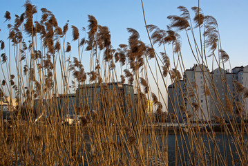 SONY DSC © Henryk Olszewski