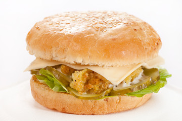 cheeseburger on the plate