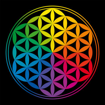 Flower of Life rainbow colors, geometric figure, composed of multiple overlapping circles. Strong symbol since ancient times, forming a flower-like pattern. Illustration on black background. Vector.