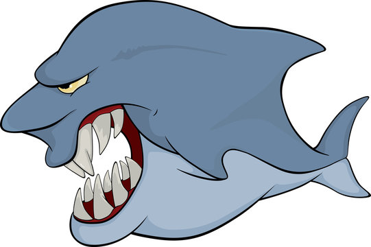 Shark. Cartoon