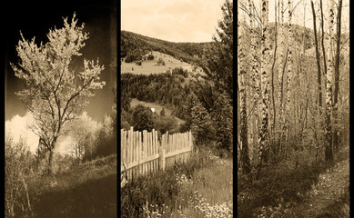 old traditional photography - Rural views, triptych