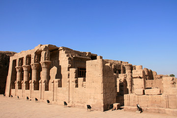Temple de Edfou