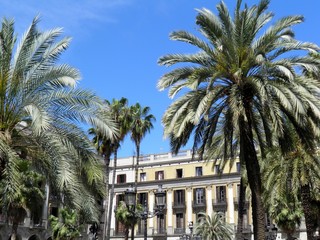 Fototapeta na wymiar Plaza Real, Barcelona