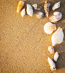Border from seashells on sand