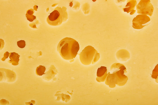 Background of fresh Swiss cheese