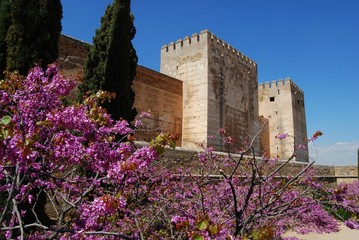 Castle, Palace of Alhambra, Granada © Arena Photo UK
