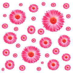 Frame Pink Gerbera Flowers