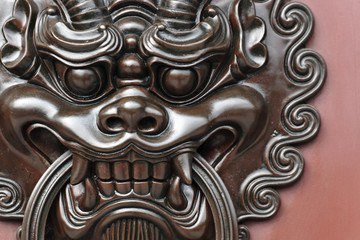 lion door lock