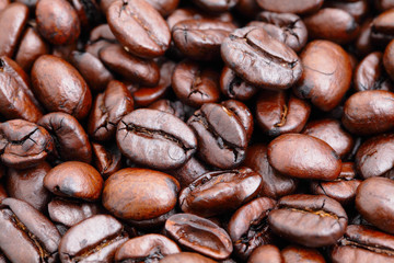 coffee bean close up