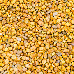 Artistic background of pebbles orange