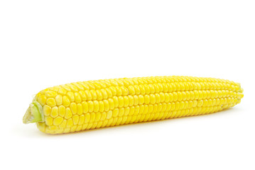 maize