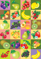 Seamless pattern of fruit and berries.