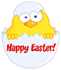 Yellow Chick Peeking Out Of An Egg Shell