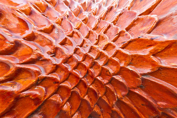 Orange dragon scales