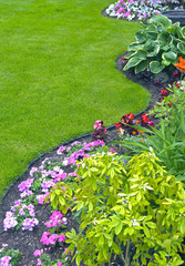 Landscaped Yard and Garden