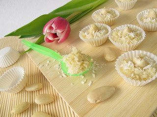 Selbstgemachte Kokos Pralinen