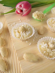 Selbstgemachte Kokos Pralinen