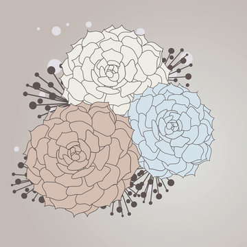 Fototapeta peony