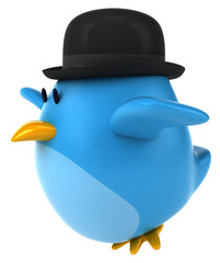 Blue bird