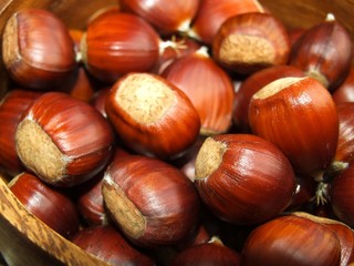 Esskastanien