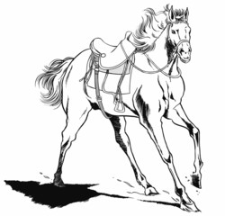 馬（線画０１）