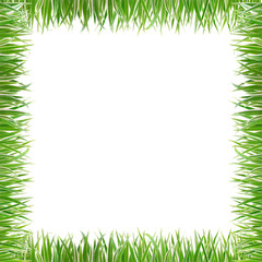 frame grass on white background