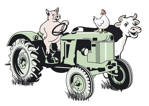 Schwein auf dem Traktor