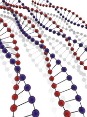 DNA Strands