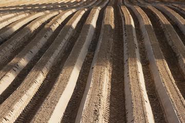 Plowed agriculture fields