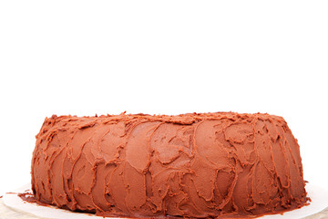 delicious chocolate cake in closeup