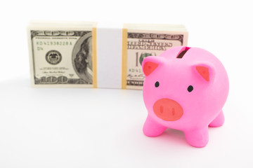 Piggy bank and dollar