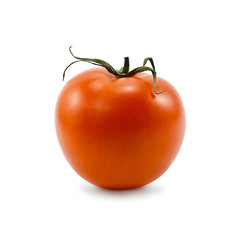 Tomato isolated on white