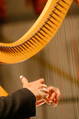 A woman playing harp during a concert.