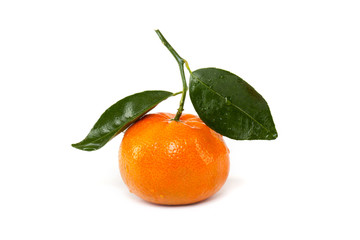 Mandarine mit Blatt