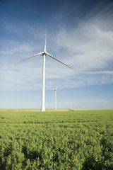 Wind Turbines at the Field