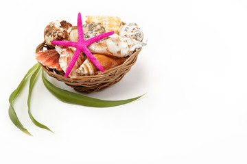 Sea souvenirs. Shells and starfish in a basket isolated on a whi