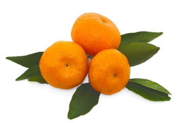 tangerine isolated
