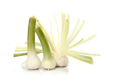 pile of garlic shoots