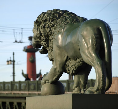 Lion with Rostral column background