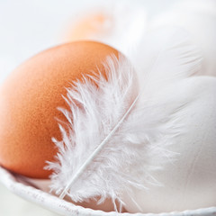 Closeup of Eggs and Feathers in a Bowl