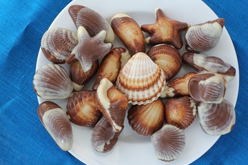 Chocolate sweets and seashells