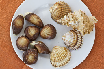 Chocolate sweets and seashells